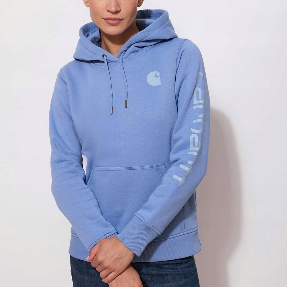NWOT Carhartt Women's Relaxed Fit Midweight Graphic Sweatshirt - Picture 1 of 5